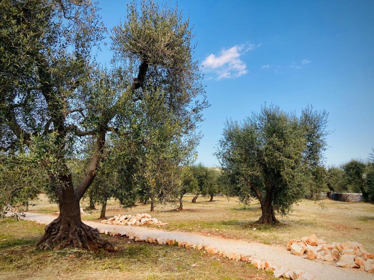 Trulli Acquasala - Apulian Country Experience Villa Остуни Екстериор снимка