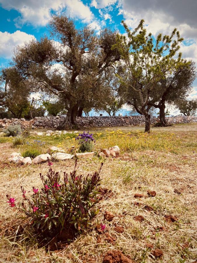 Trulli Acquasala - Apulian Country Experience Villa Остуни Екстериор снимка